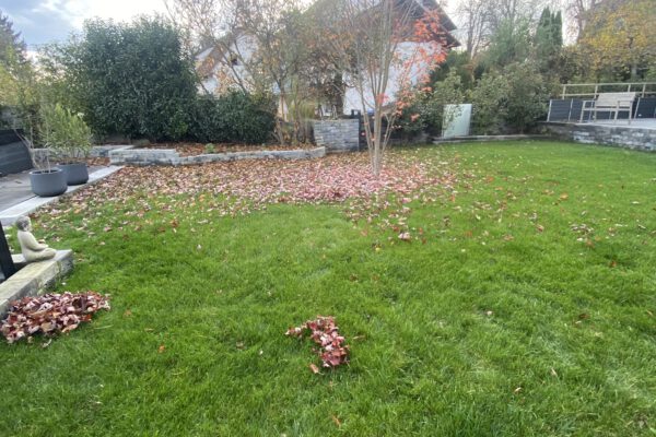 gartenpflege