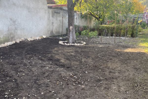 gartenpflege